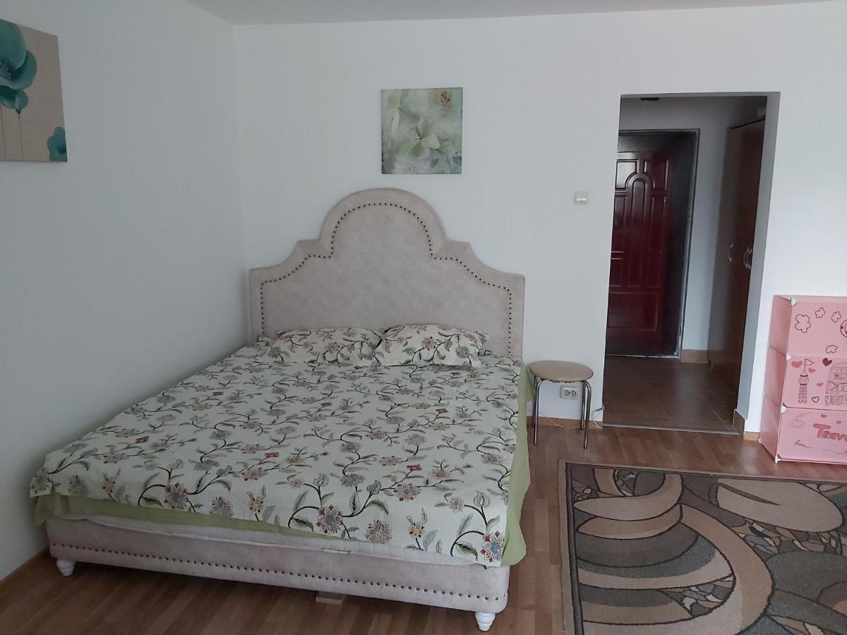 Appartamento Metroudrumultaberei34tudorvladimirescuplaza Romania *
